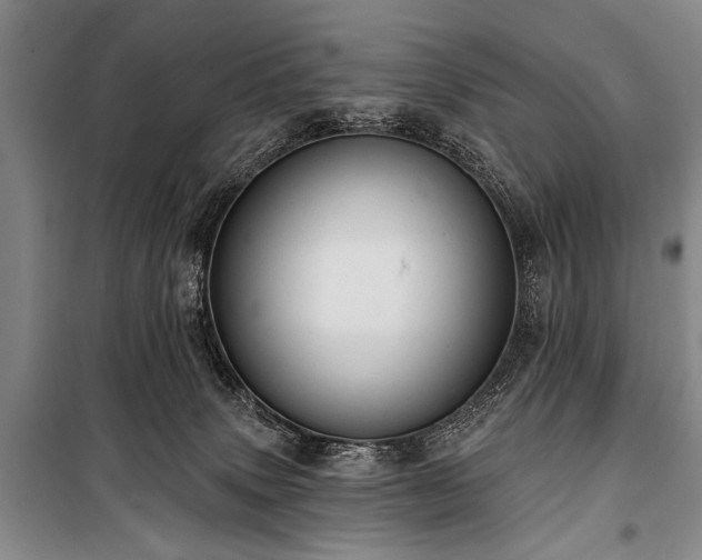 X0000101210083200806271425