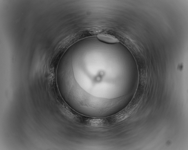 X0000101210085200806271425