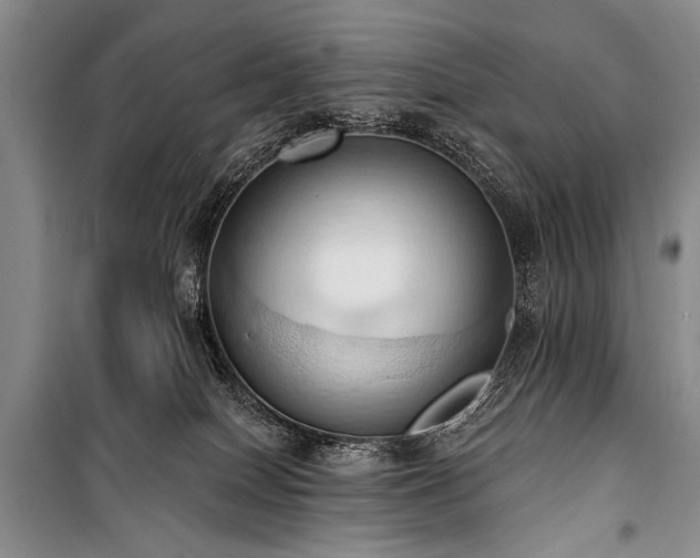 X0000101210086200806271425