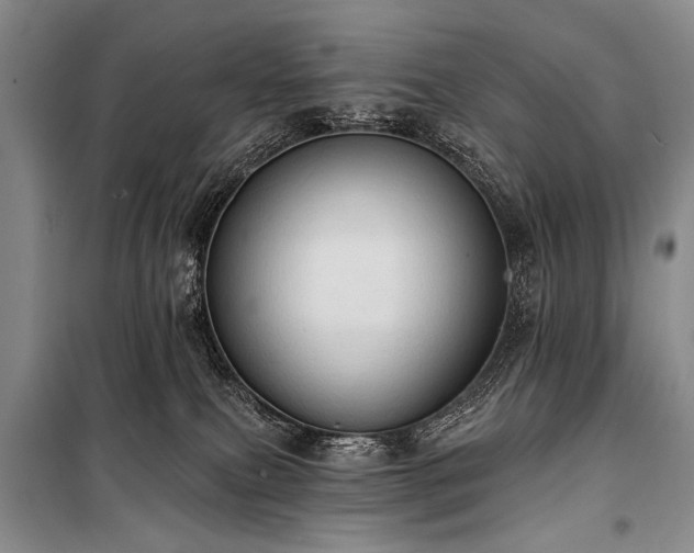 X0000101210087200806271425