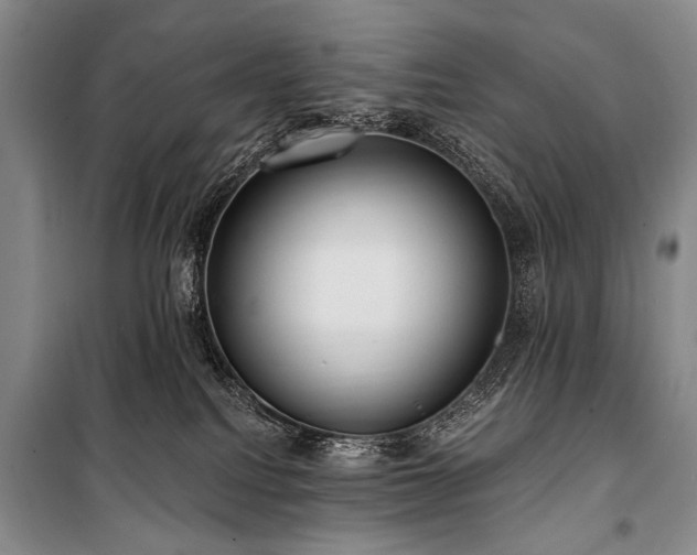 X0000101210088200806271425