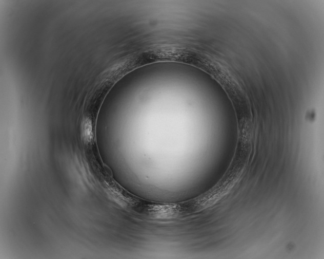 X0000101210089200806271425