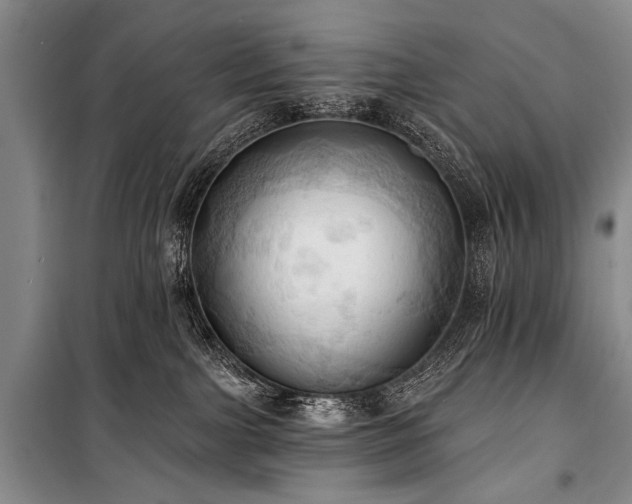 X0000101210091200806271425