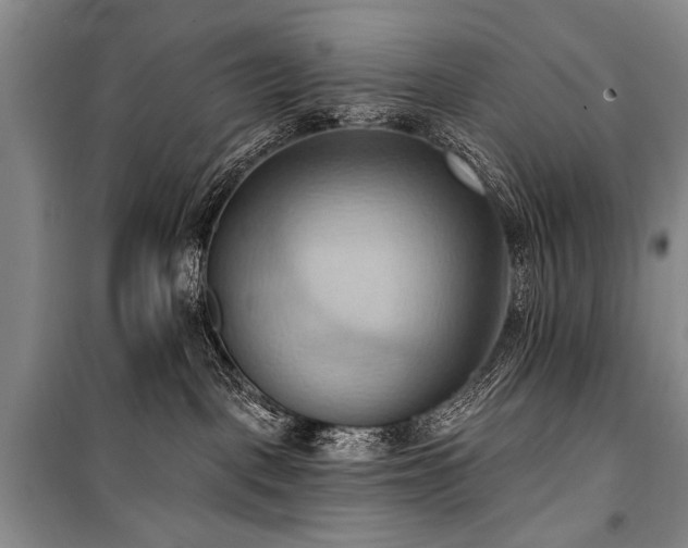 X0000101210093200806271425