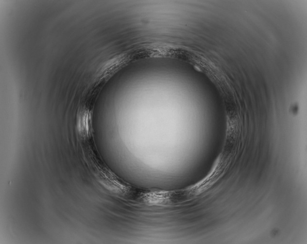 X0000101210094200806271425