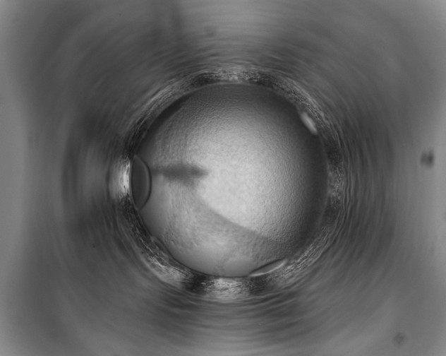 X0000101210095200806271425