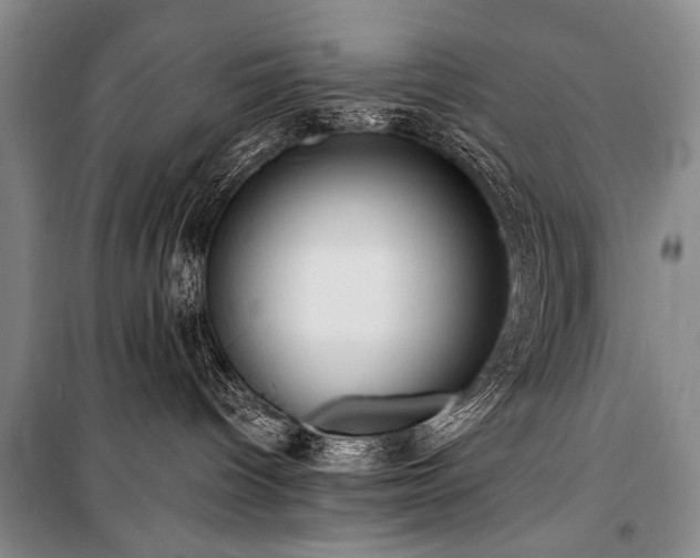 X0000101210096200806271425