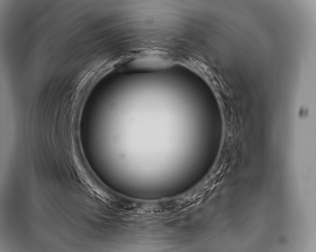 X0000101210097200806271425