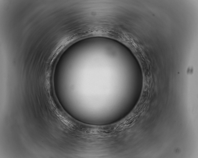 X0000101210098200806271425