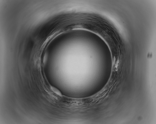 X0000101210099200806271425