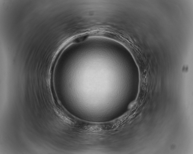 X0000101210100200806271425