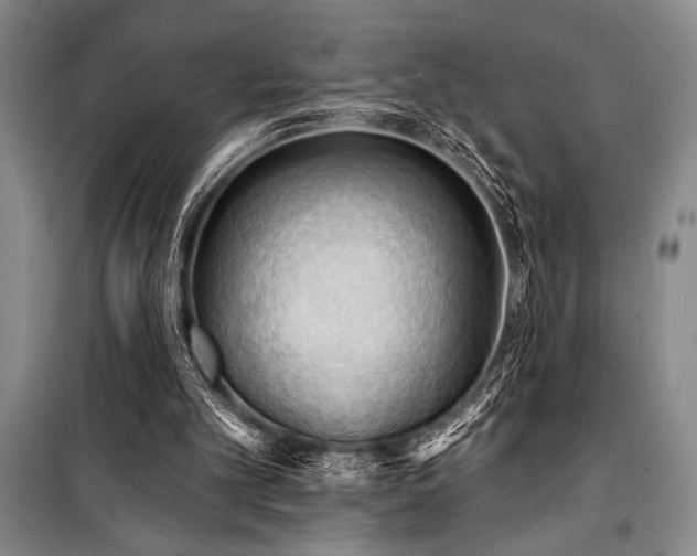 X0000101210101200806271425