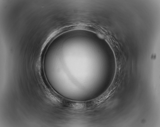 X0000101210102200806271425