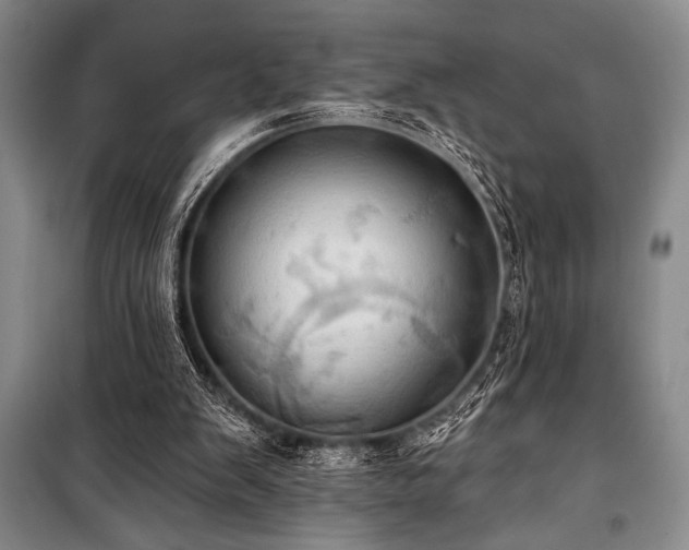 X0000101210103200806271424