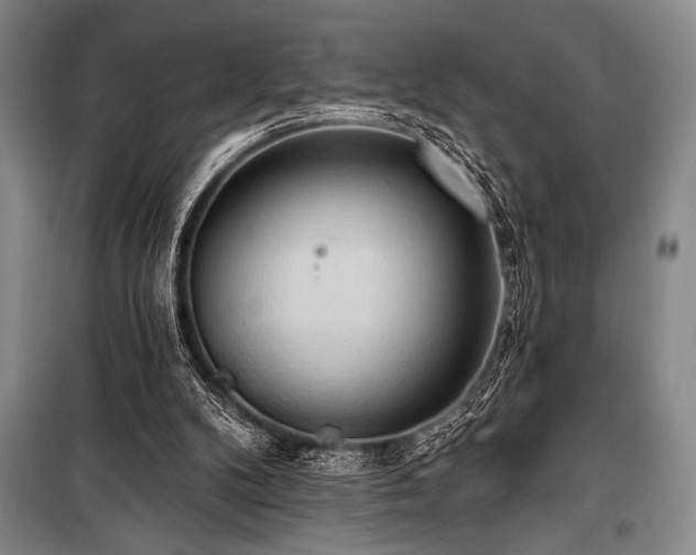 X0000101210104200806271424