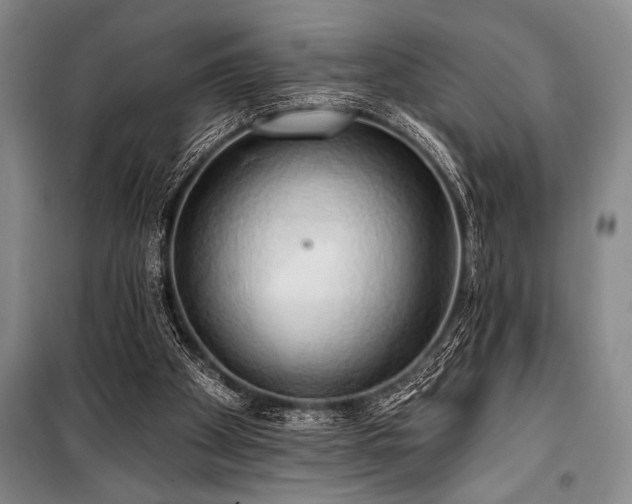 X0000101210105200806271424