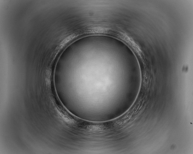 X0000101210107200806271424