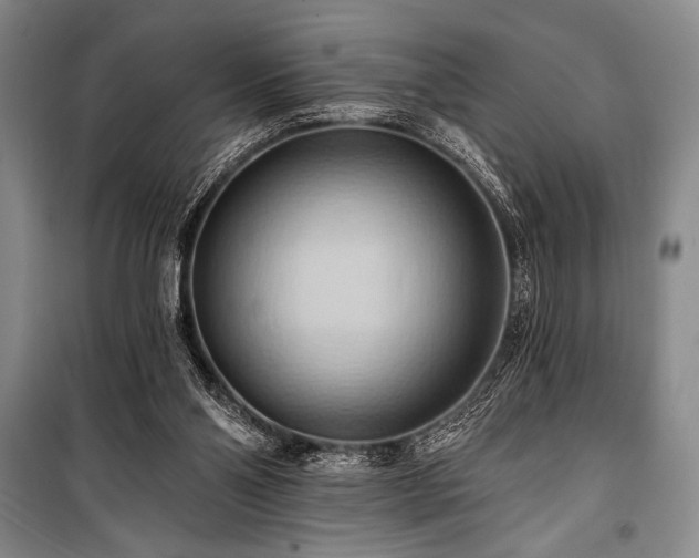 X0000101210110200806271424