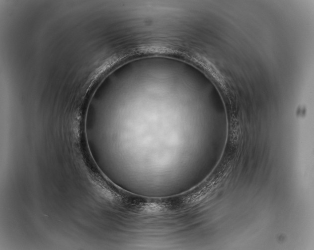 X0000101210111200806271424