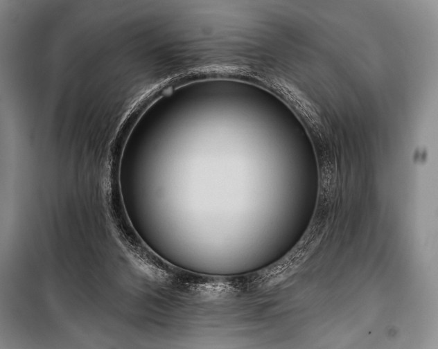 X0000101210112200806271424