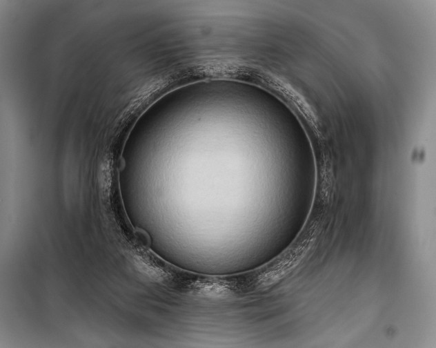 X0000101210113200806271424