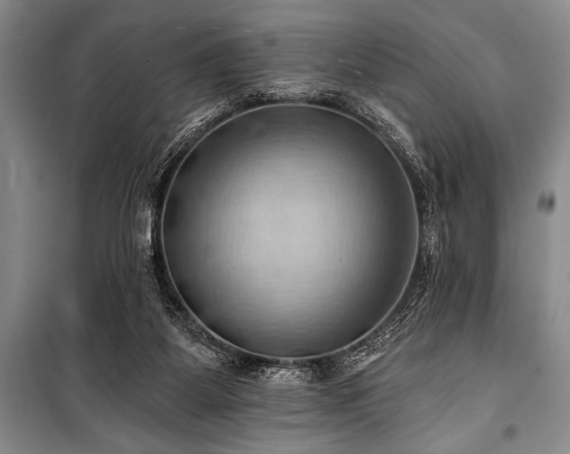 X0000101210115200806271424