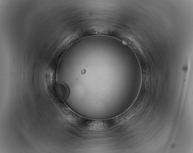 X0000101210123200806271424