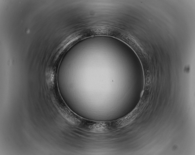 X0000101210124200806271424