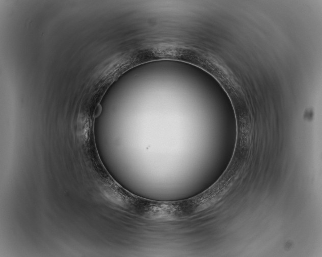 X0000101210125200806271424