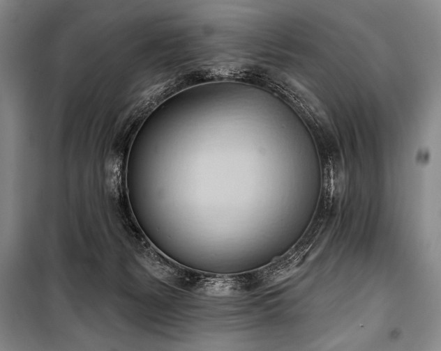 X0000101210127200806271424