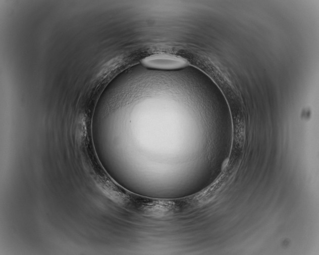 X0000101210128200806271424