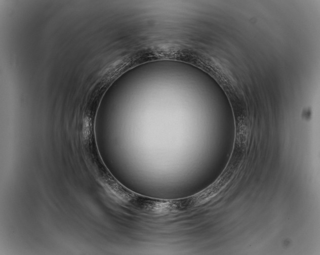 X0000101210130200806271424