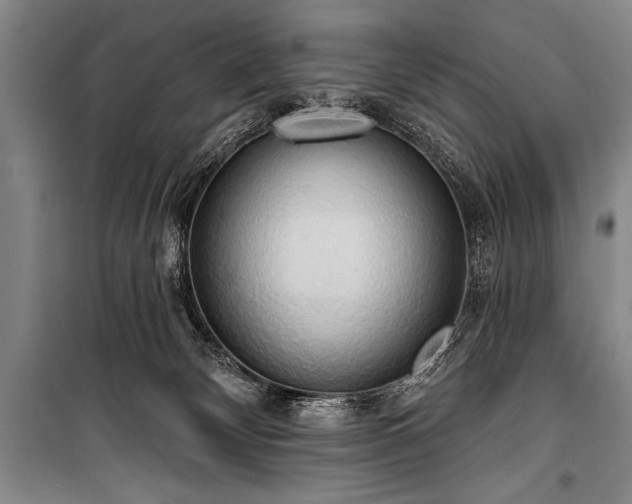 X0000101210132200806271424