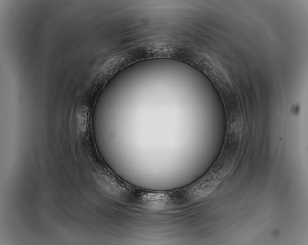 X0000101210133200806271424