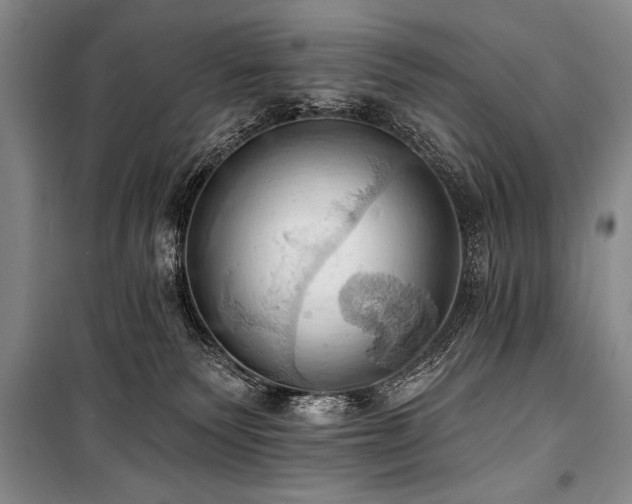 X0000101210135200806271424