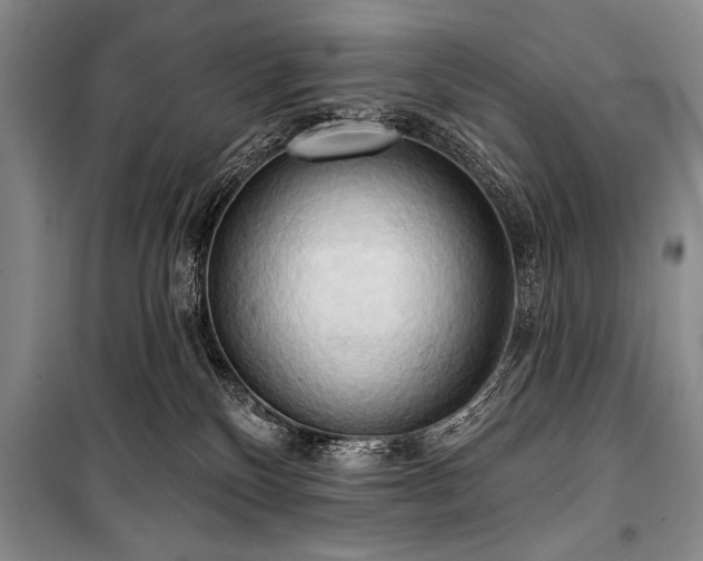 X0000101210136200806271424