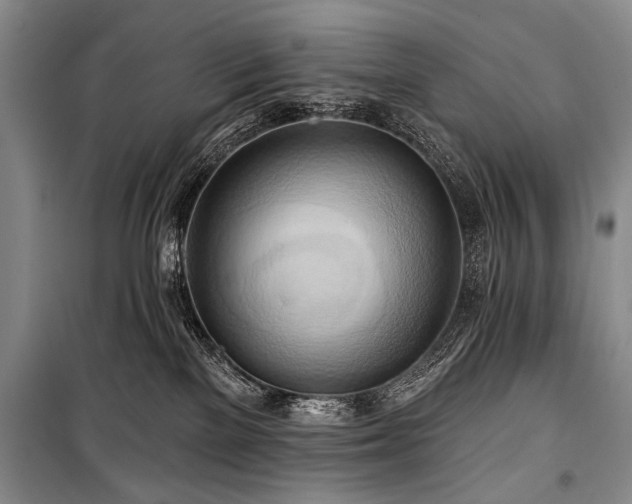 X0000101210137200806271424