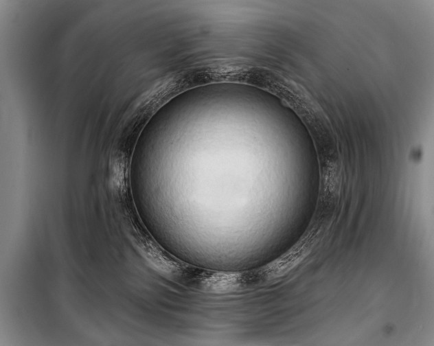 X0000101210138200806271424