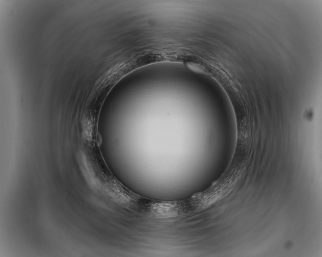 X0000101210139200806271424