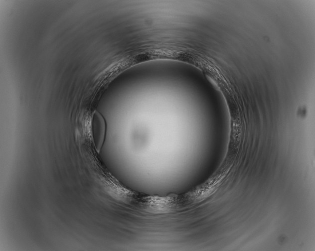 X0000101210143200806271424