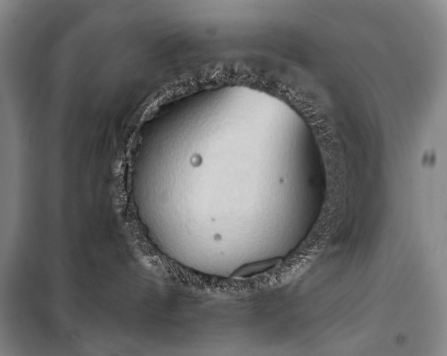 X0000101210144200806271424