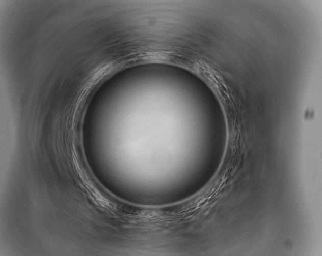 X0000101210145200806271423