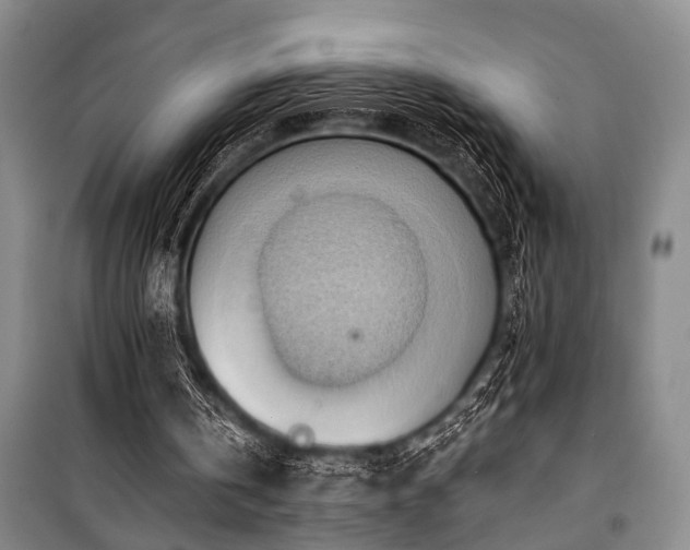 X0000101210146200806271423