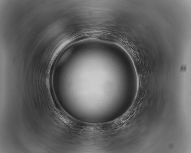 X0000101210147200806271423