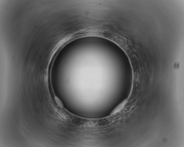 X0000101210148200806271423