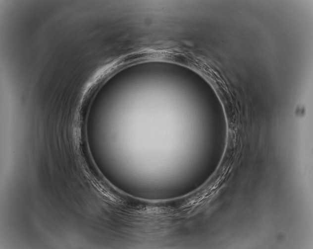 X0000101210149200806271423