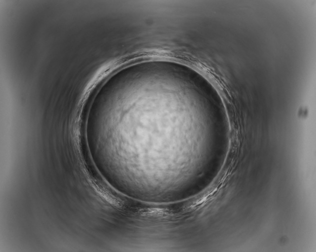 X0000101210151200806271423