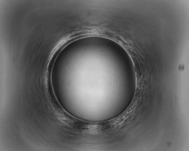 X0000101210152200806271423