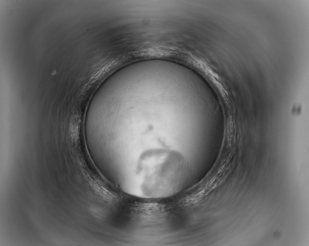 X0000101210153200806271423