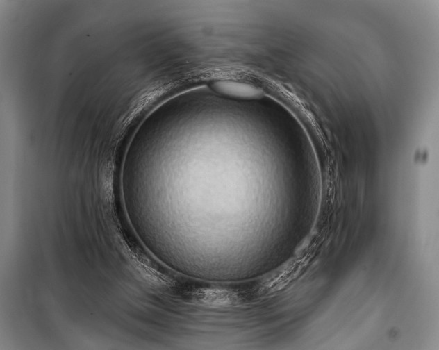 X0000101210154200806271423